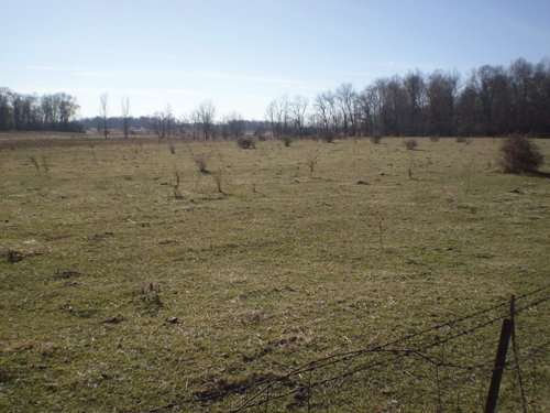 Property photo 32 - 159 Acres Offered in 7 Tracts